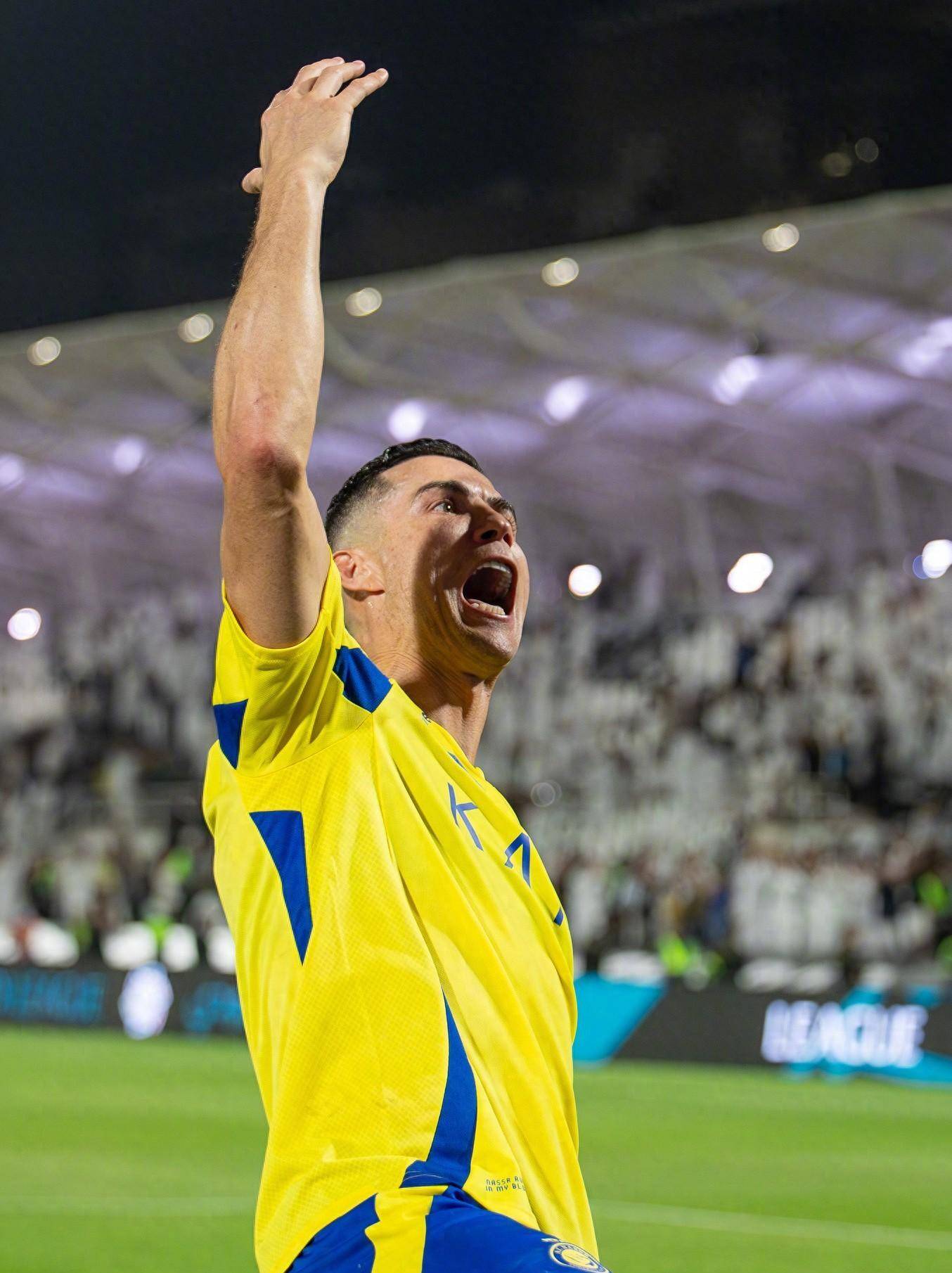 作为一颗冉 作为一颗冉